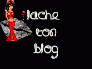 donne ton blog é jiré y fére 1 pti tour