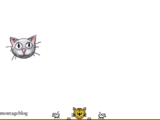 miaou