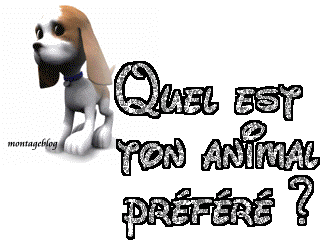 moi c le chien